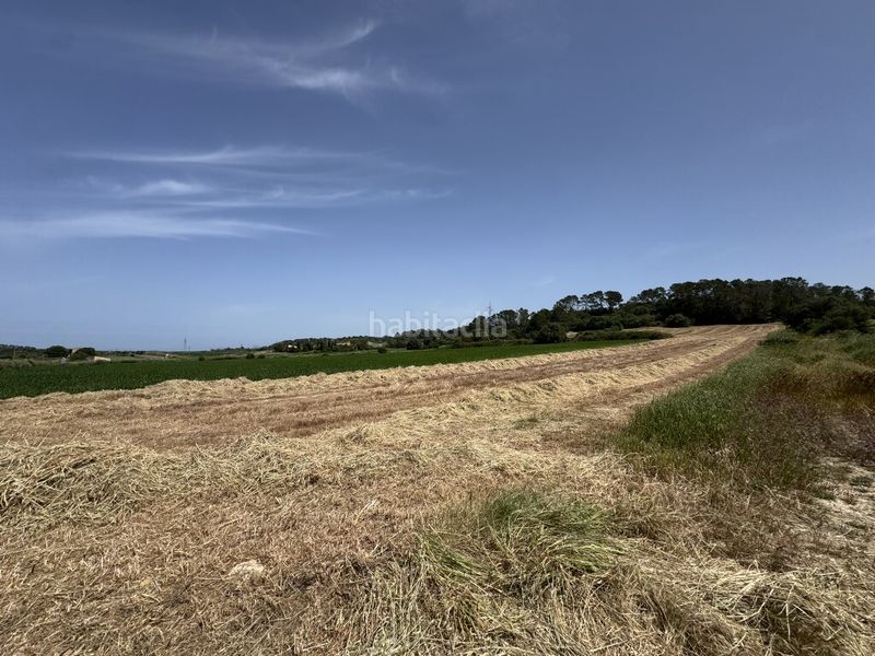 Foto f8b1d9dc-5c64-4506-946a-245d33857136. Finca rústica a Sineu
