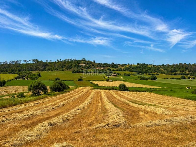 Foto ffeacf6f-83dd-439b-bd76-1323e387cc95. Finca rústica a Sineu