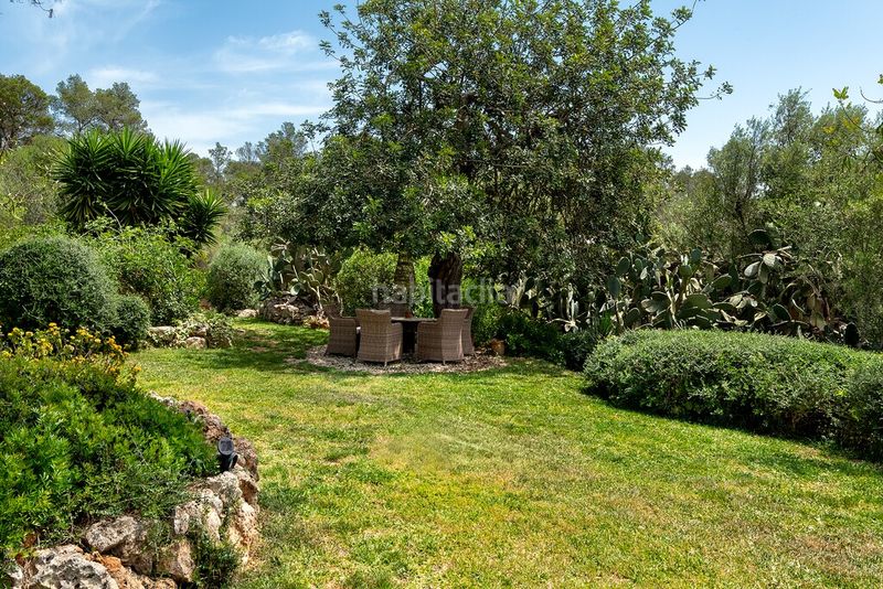 Foto 75fcb7c6-5b6d-4e88-88af-4c8fc9a8e36d. Masia amb calefacció aparcament piscina a Sineu