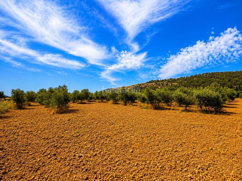 Foto 47c2cf68-4851-4631-9071-2fd94668ba77. Finca rústica a ciutat d´Alcúdia Alcúdia