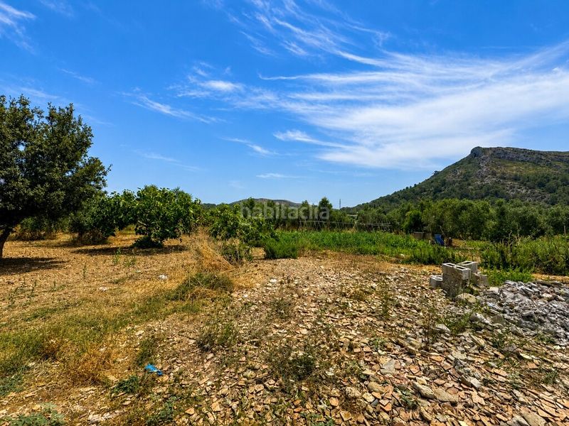 Foto 756aca83-0593-445b-8c8f-e46dfce261a9. Finca rústica a ciutat d´Alcúdia Alcúdia