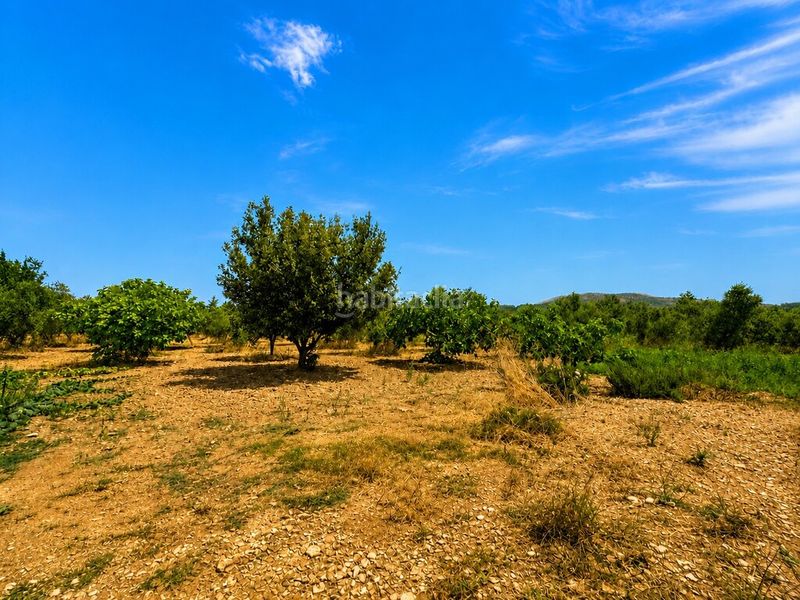Foto a6e338c3-85c8-4611-b747-5c62b614b141. Finca rústica a ciutat d´Alcúdia Alcúdia