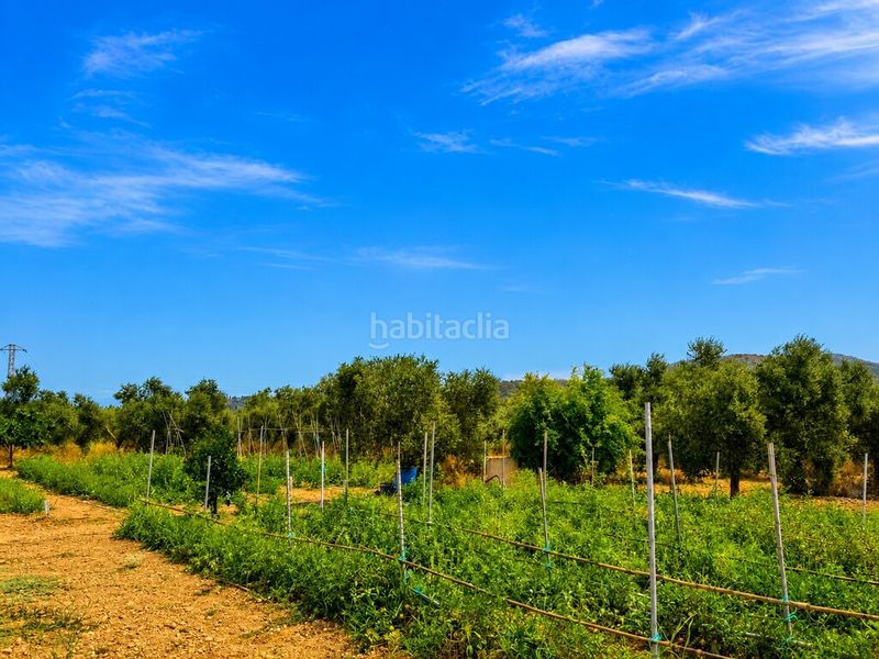 Foto c21e0724-beb1-4fe7-ba06-01b5ed2844d4. Finca rústica a ciutat d´Alcúdia Alcúdia