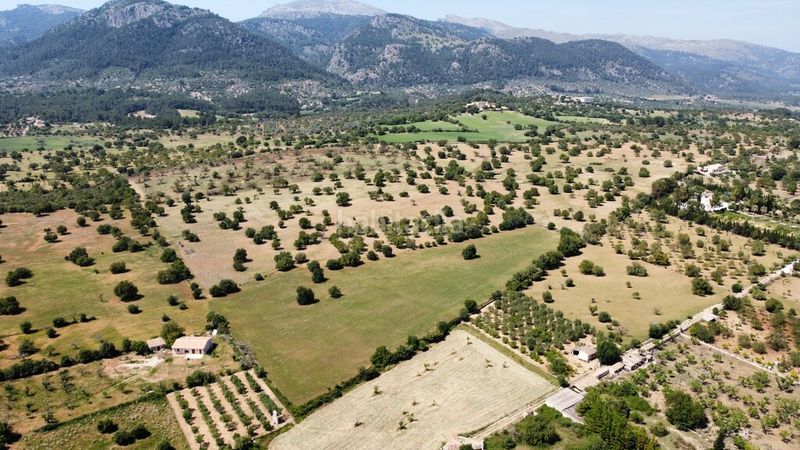 Foto 5f91276b-c082-4e9e-a62d-b393c5d18b62. Masia a Campanet