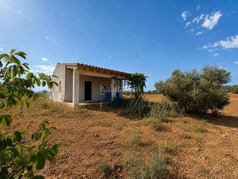 Foto d7800b41-6935-478f-bb33-db41cbbc8b1a. Masia a Campanet