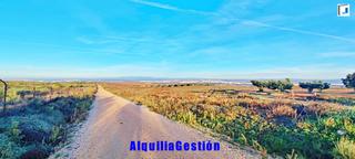 Landgut in Santos de la Humosa (Los). Finca rustica 11.000.-€