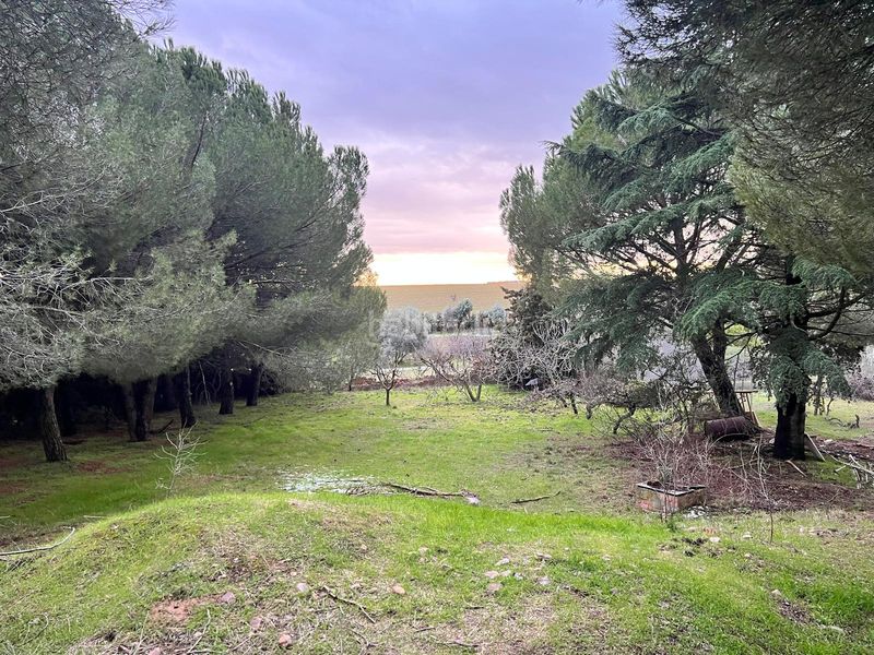 Foto 21e47e8e-2597-4b17-90b1-dd6f42febad7. Terreny residencial a Serracines