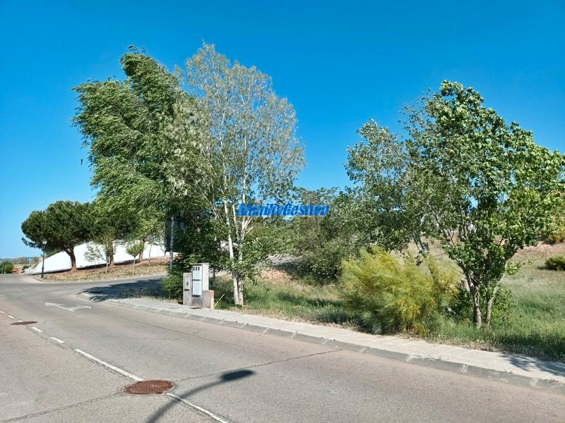 Foto 0ffeff15-648f-45b0-a0f2-cf8a05e84df3. Terreny residencial a Tórtola de Henares