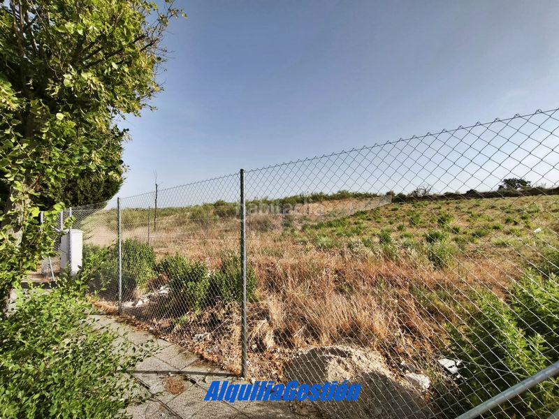 Foto 56fd4bb8-1d02-40a3-8f68-ddde645b0865. Solar industrial a Chiloeches