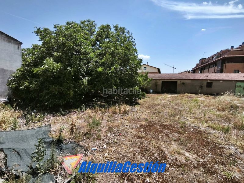 Foto 5b4abb2b-a3c3-4597-805f-eafeade6ebe2. Terreny residencial a Alovera