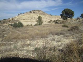 Masia a Pedanías Oeste. Se vende finca rustica en aspe