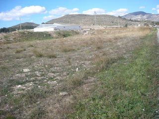 Finca rústica a Hondón de las Nieves