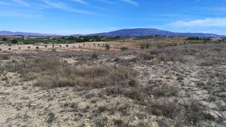 Fondo rustico in Pinoso. Terreno rural