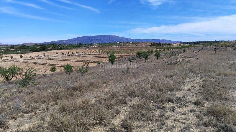 Foto b5fe0e48-ef97-4ee7-b150-a4aa496524e1. Finca rústica a Pinoso