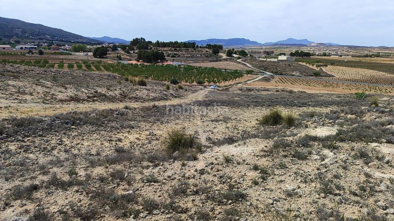 Foto bba33564-0c45-45ab-8296-4ca1299a1710. Finca rústica a Pinoso