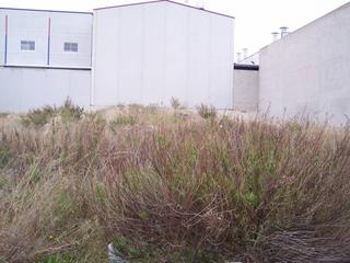 Residential Plot in El Castillo. Se vende estupendo solar con posibilidad de obtener mas metros d