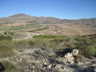 Rural plot in Hondón de las Nieves. Se vende terreno en hondon de las nieves
