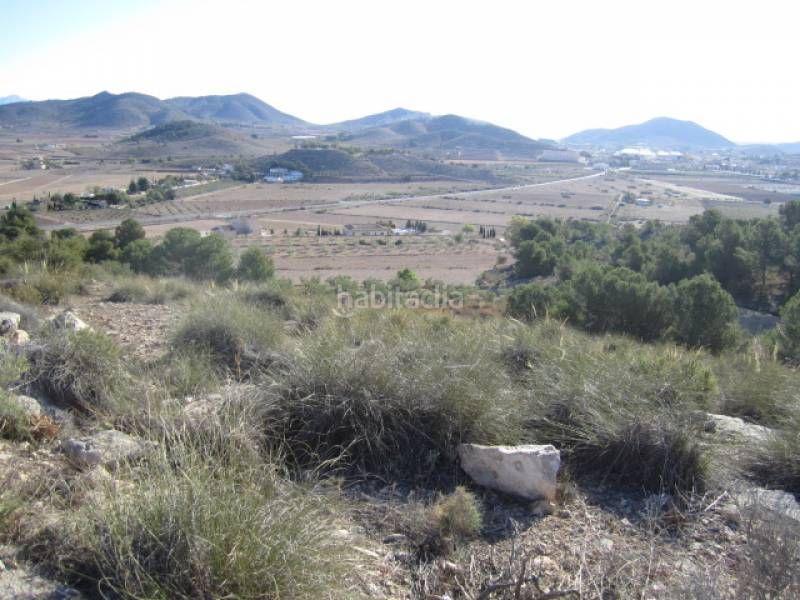 Foto a9242b39-2cf4-40d5-a170-8426a538e56c. Finca rústica a Hondón de las Nieves