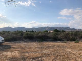 Finca rústica a Crevillente. Terreno en crevillente