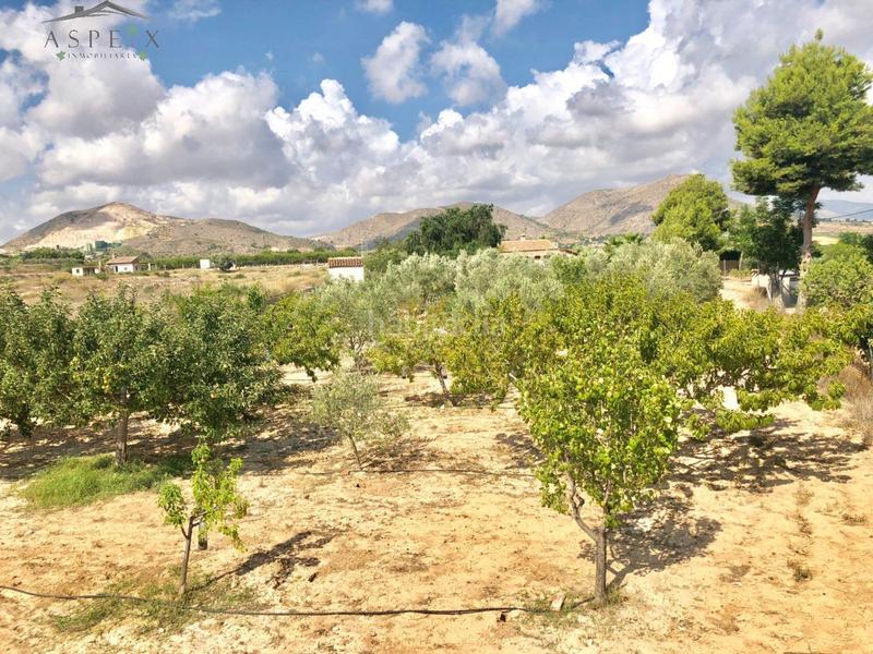 Foto 94bf6400-cf64-49ad-ba8e-1bbfcc821adf. Chalet se vende chalet en Pedanías Oeste Aspe