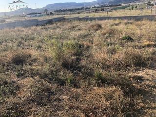 Terreny residencial a Pedanías Oeste. Se vende parcela en aspe
