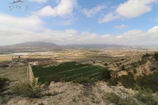 Bauernhof in Monforte del Cid. Se vende finca rústica en producción en monforte