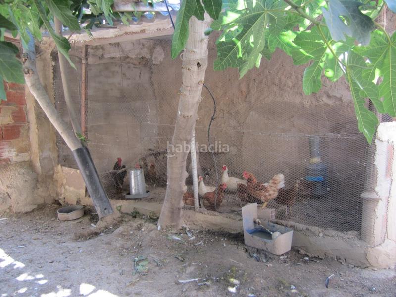 Foto fa246adc-caf6-4a19-b74e-759298571bd7. Casa in Novelda