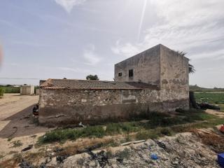 Masia a Albatera. Terreno 30000 metros en el realengo