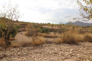 Propriété à Hondón de los Frailes. Terreno en hondon de los failes