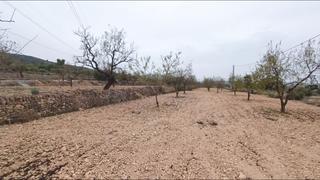 Propriété à Hondón de los Frailes. Parcela en hondón de los frailes