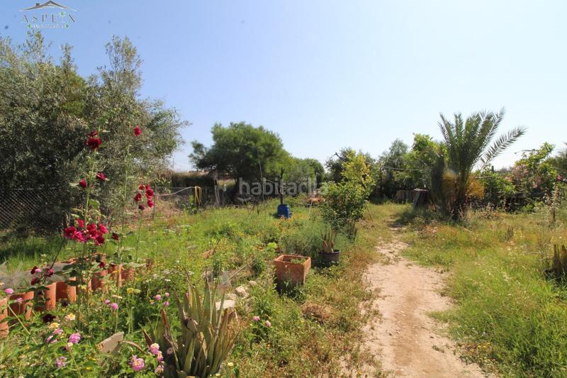 Foto ad0be710-83f0-4d8a-99cf-201525862956. Casa  de campo en venta en El Castillo Aspe
