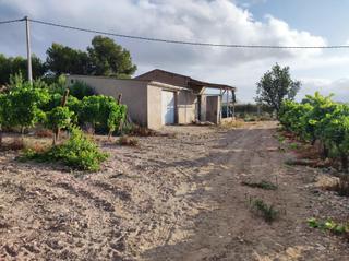 Finca rústica a Novelda. Terreno en novelda con casa de aperos