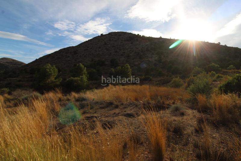 Foto 4af47668-b328-4544-abd8-c53c812a4bb5. Casa chalet en la ofra en El Castillo Aspe