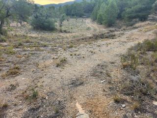 Propriété à Romana (la). Terreno rural en la romana