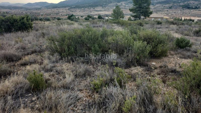 Foto cdac12d0-d34e-4aa8-bccf-fd0a60b6137d. Finca rústica terreno rural en la romana en Romana (la)