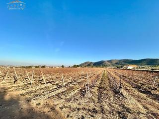 Masia a Romana (la)