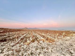 Country house in Romana (la)