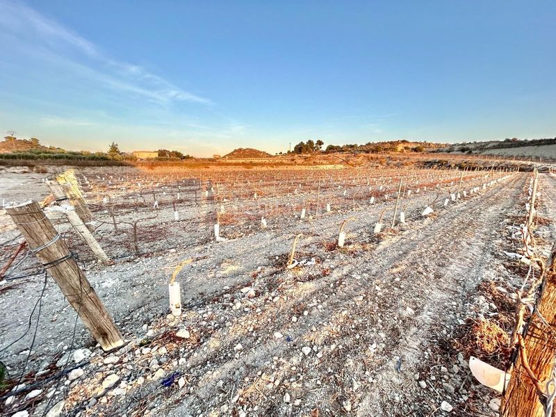 Foto ea5e4a05-cebb-4ae4-864c-be6c3da867f3. Masía en Novelda