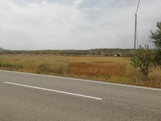 Finca rústica a La Murada - Los Vicentes. Terreno en la umbria