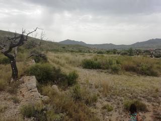 Landgut in Hondón de los Frailes. Terreno en hondón de los frailes
