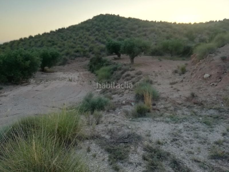 Foto 716105bc-73af-4a93-a420-58df9a14efad. Masia a Abanilla