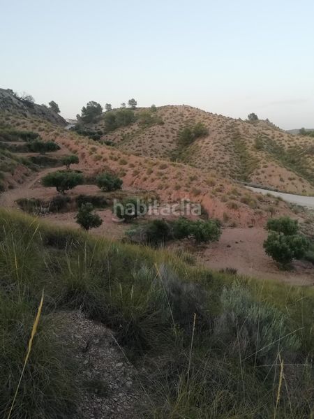 Foto b0321ff3-1258-4c1e-a716-69b1484f1106. Masia a Abanilla