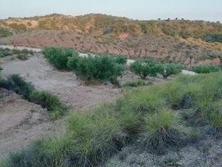 Masia a Abanilla. Finca rustica en macisvenda