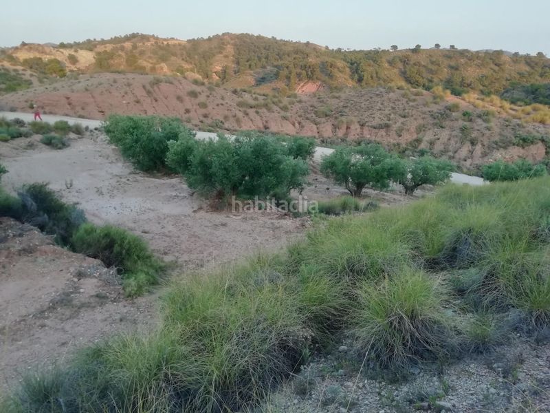 Foto c703a6e3-9f68-4962-814c-91b56be20837. Masia a Abanilla