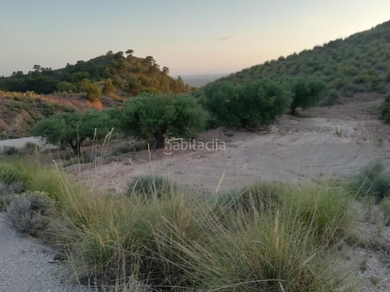 Foto f61f4649-8944-4cf4-add7-9a9d87fb3266. Masia a Abanilla