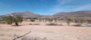 Mas à La Murada - Los Vicentes. Casa cueva con terreno en barbarroja