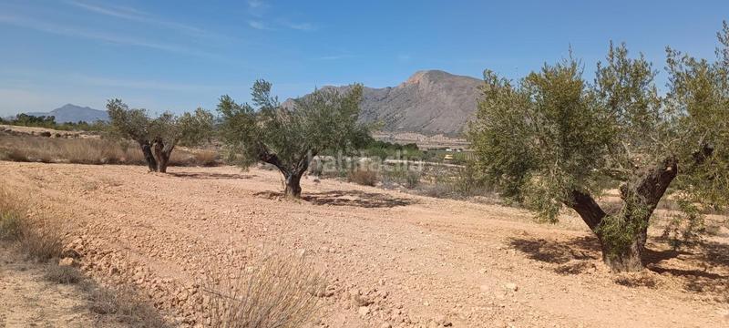 Foto 5c6ffc4d-2532-443b-a993-dcba06be6e30. Bauernhof in La Murada - Los Vicentes Orihuela