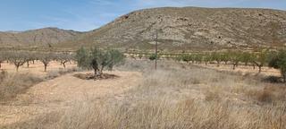 Finca rústica a La Murada - Los Vicentes. Parcela en barbarroja