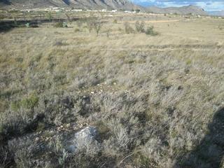 Rural plot in Hondón de las Nieves. Se vende terreno en hondon de las nieves