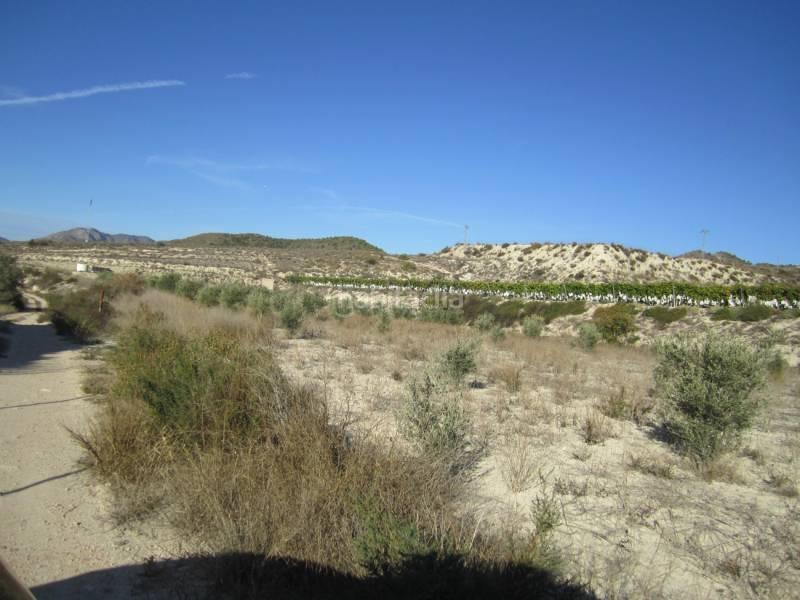 Foto f51beb3c-9a1b-40b2-92d8-be5864e8b51a. Finca rústica terreno la romana en Romana (la)